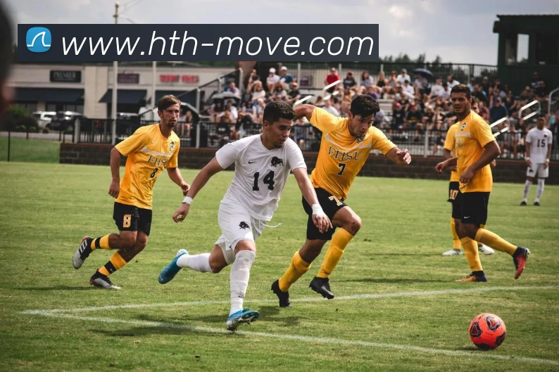 华体会APP 封面图